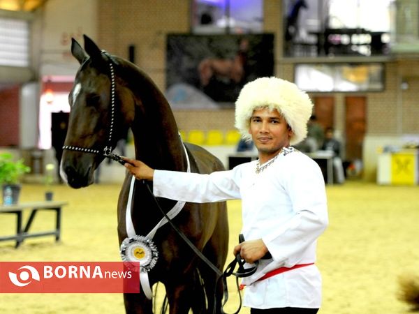 سومین جشنواره اسب اصیل ترکمن پایتخت