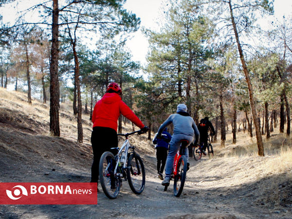 در حاشیه تمرینات دوچرخه سوران کوهستان- پارک چیتگر