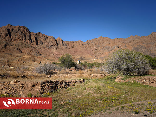 روستای تاریخی هَفت‌هَر - یزد