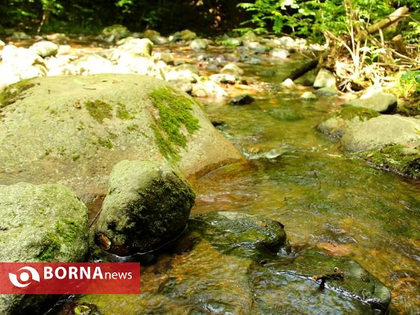 زیباییهای طبیعی منطقه کچا