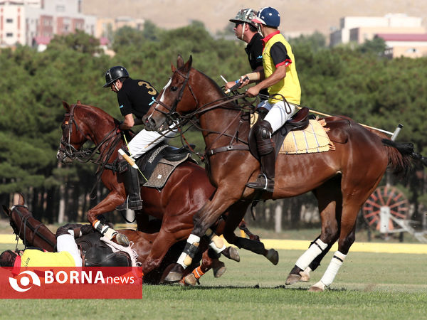 مسابقات چوگان جام الوکاپ