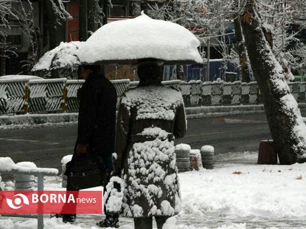 بارش نخستین برف پاییزی در تهران