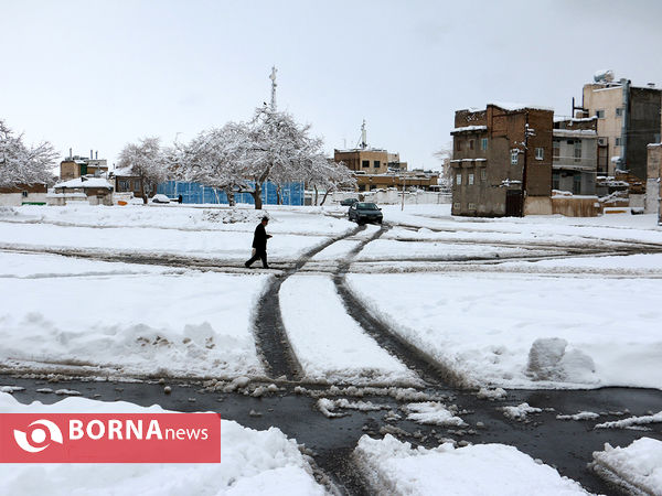 مشهد زیر چتر برف