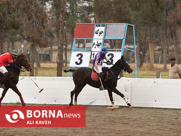 مسابقات چوگان جام قهرمانی باشگاه‌های کشور