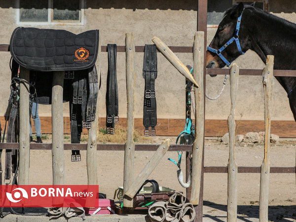 مسابقات پرش با اسب قهرمانی استان فارس