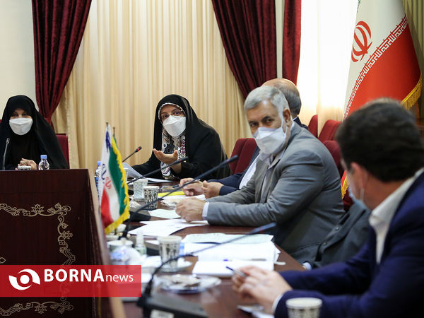 دیدار استاندار و نمایندگان کرمان در مجلس شورای اسلامی با وزیر ورزش و جوانان