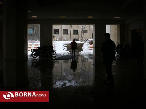 مشهد زیر چتر برف