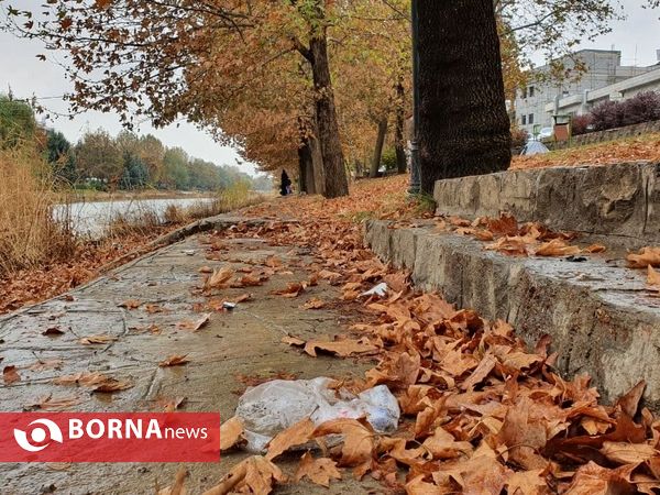 پارک و ساحل را زباله نکنیم