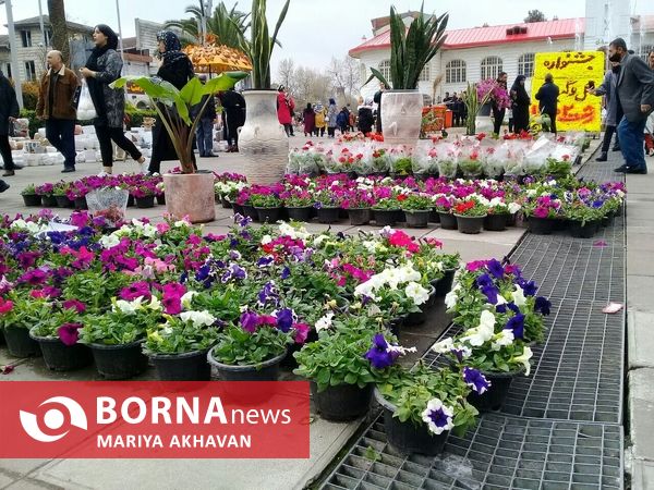 جشنواره گل و گیاه رشت 