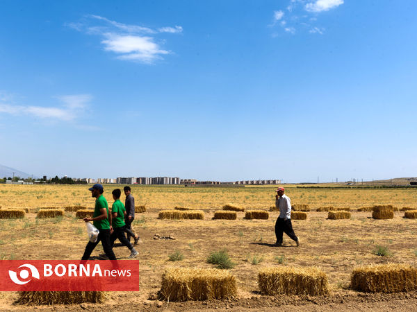 اولین دوره ی مسابقات کوآلیفیکیشن کمانگیری روی اسب