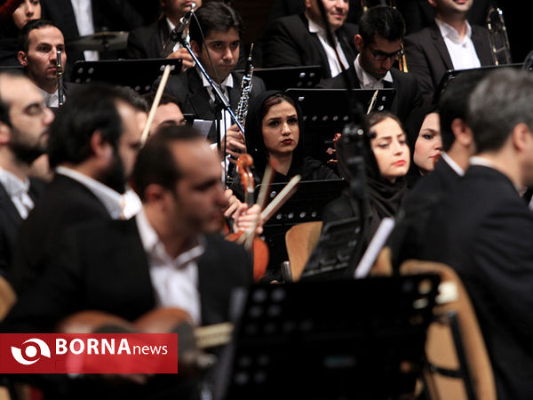 پرواز همای