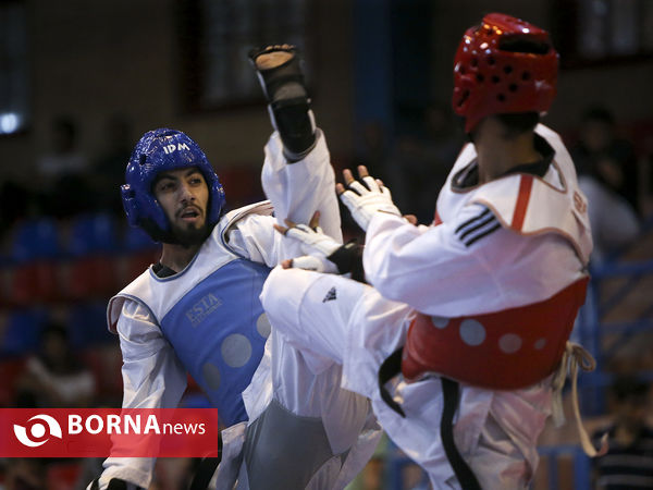 لیگ برتر تکواندو
