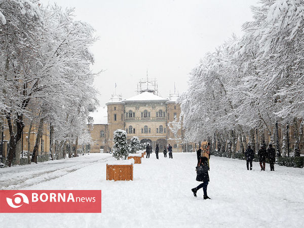 بارش برف در تهران -2