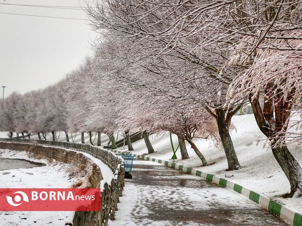 بارش اولین برف زمستانی در ارومیه