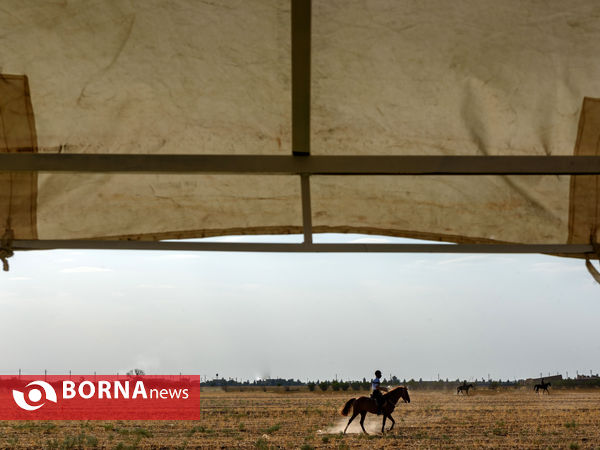 اولین دوره ی مسابقات کوآلیفیکیشن کمانگیری روی اسب