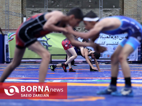 المپیاد استعدادیابی کشتی کشور