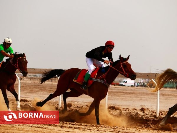 دور دوم مسابقات اسبدوانی اسب اصیل عرب - جام بُراق اروند