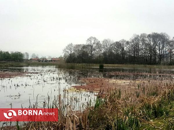 تالاب حاجی آباد لاهیجان