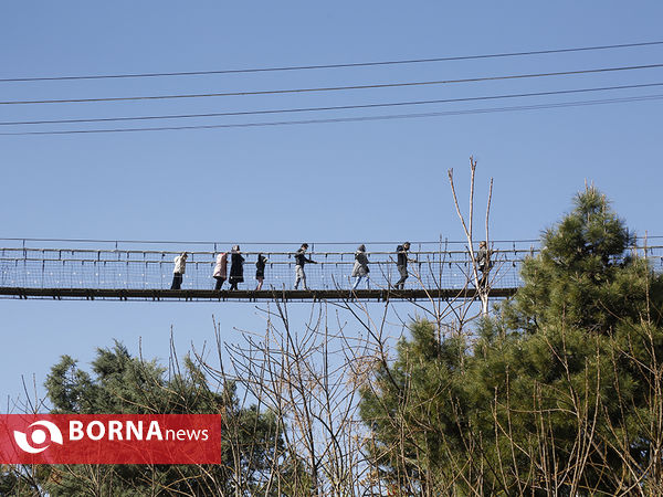 بازدید نوروزی مسافرین از برج میلاد