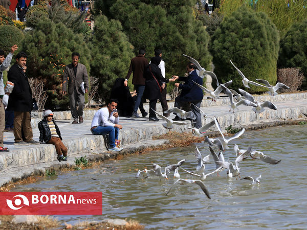 زاینده رود در بهار