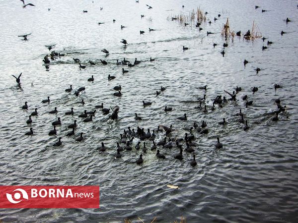 زریبار کردستان