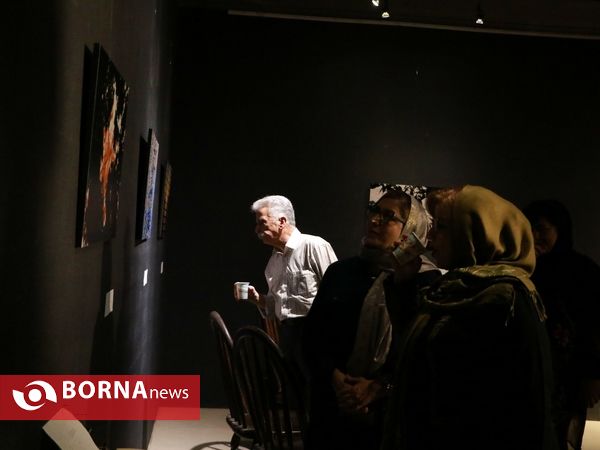 نمایشگاه انفرادی عکس های طلا فرجی