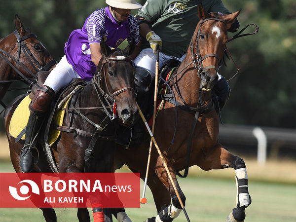 لیگ  ملی چوگان