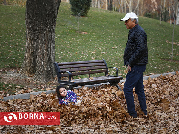 واپسین روزهای پاییزی تهران