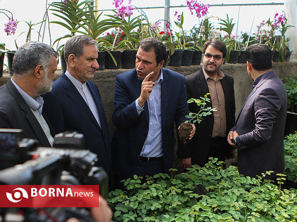 بازدید معاون اول رئیس جمهوری از چند پروژه کشاورزی و صنعتی در شهرستان رباط کریم