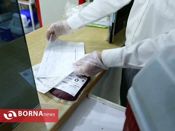 نذر خون در شب های قدر