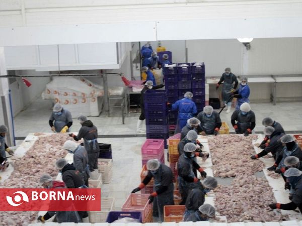 آغاز افتتاح پروژه های صنعتی، سرمایه گذاری و گردشگری منطقه آزاد انزلی