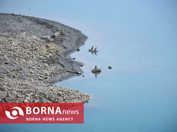 آخرین وضعیت سد «کمال‌ صالح» - شازند