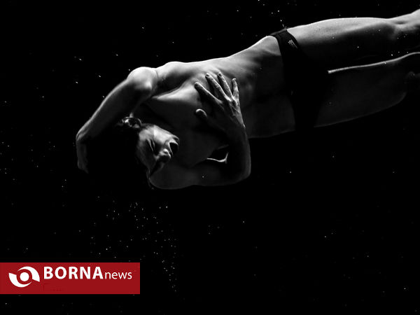 فینال لیگ شیرجه قهرمانی کشور