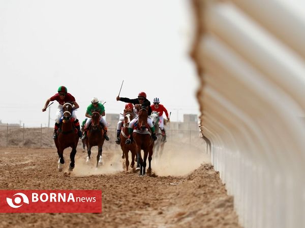 دور دوم مسابقات اسبدوانی اسب اصیل عرب - جام بُراق اروند