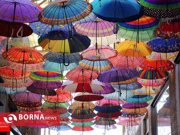 برگزیده گزارش های تصویری دی ۱۳۹۴