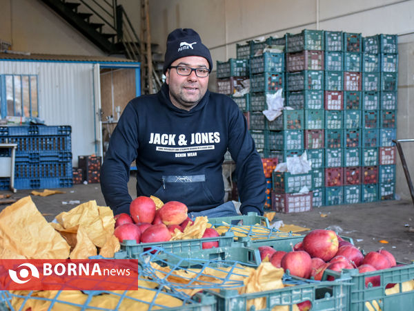 میدان میوه و تره بار در روزهای پایانی سال