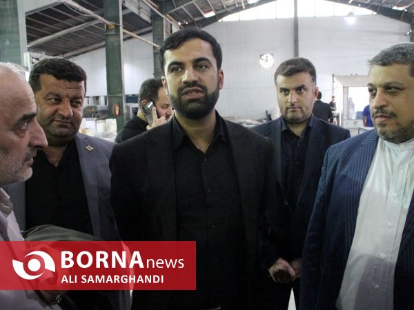 بازدید معاون وزیر صمت از منطقه آزاد انزلی