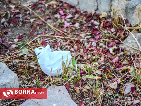 پاییز کرونایی