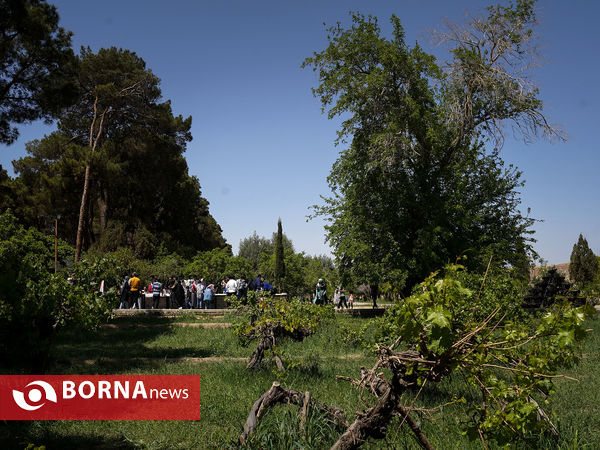 باغ دولت‌آباد یزد