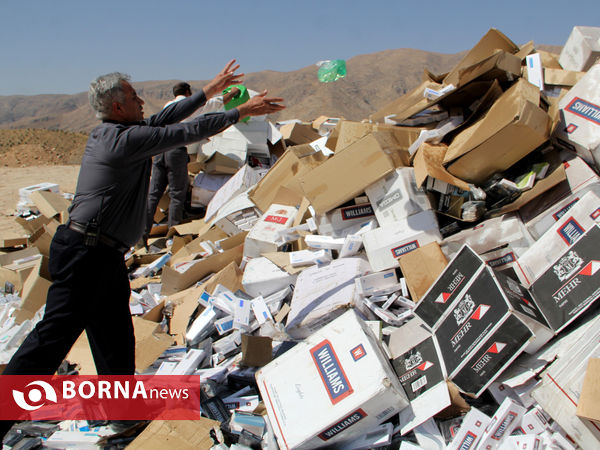 امحای 33 میلیون نخ سیگار قاچاق در شیراز