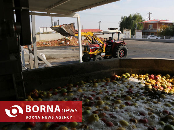 توانمندی های بخش کشاورزی شهرستان شبستر