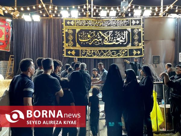 حرم حضرت علی(ع) در شب اربعین حسینی