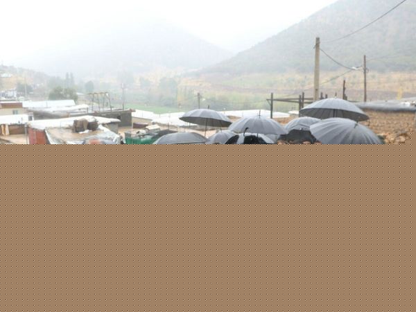 مراسم آیینی جشن یاران خاوندکار 97 دالاهو روستای توت‌شامی