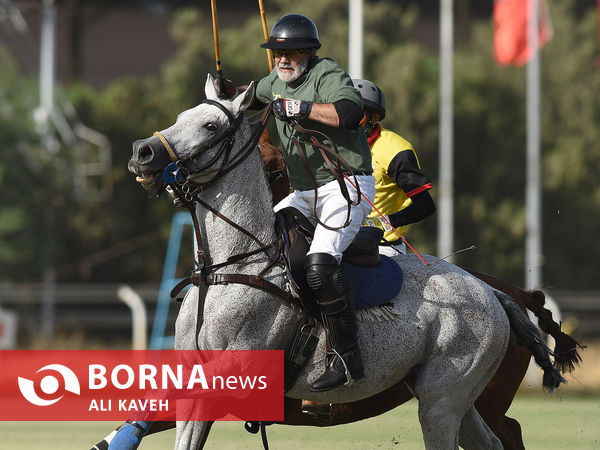 لیگ  ملی چوگان