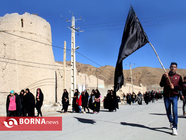 بزرگترین گردهمایی عزاداران رضوی فارس در شهرستان بوانات