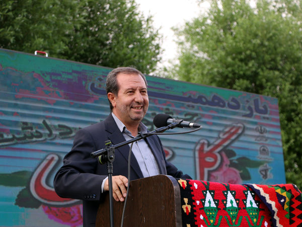 برداشت گل محمدی در روستای عنصرود