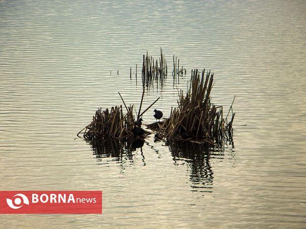 زریبار کردستان