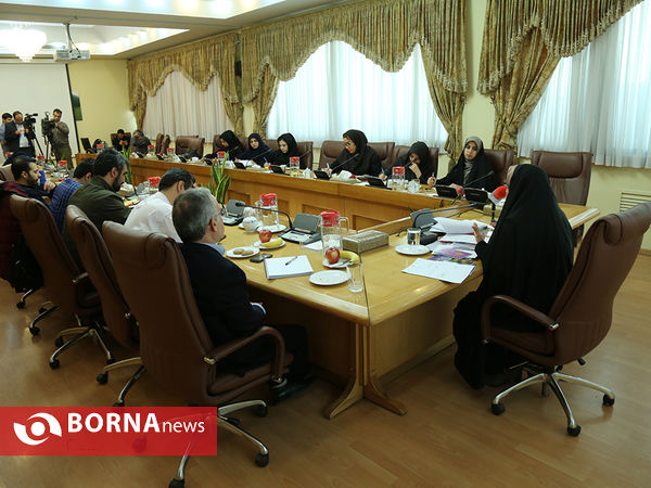 نشست خبری دستیار ویژه رئیس‌جمهور در حقوق شهروندی