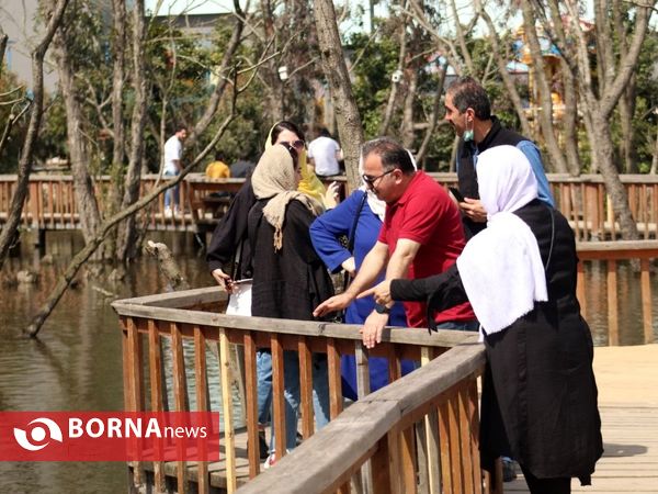 روز طبیعت در بندرانزلی