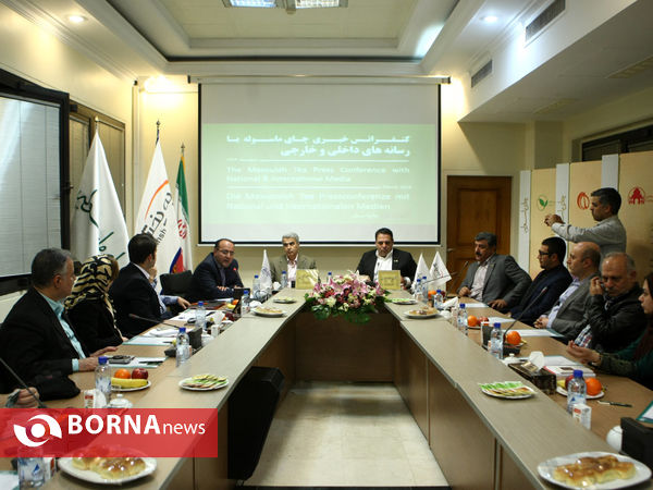 نشست خبری چای ماسوله
